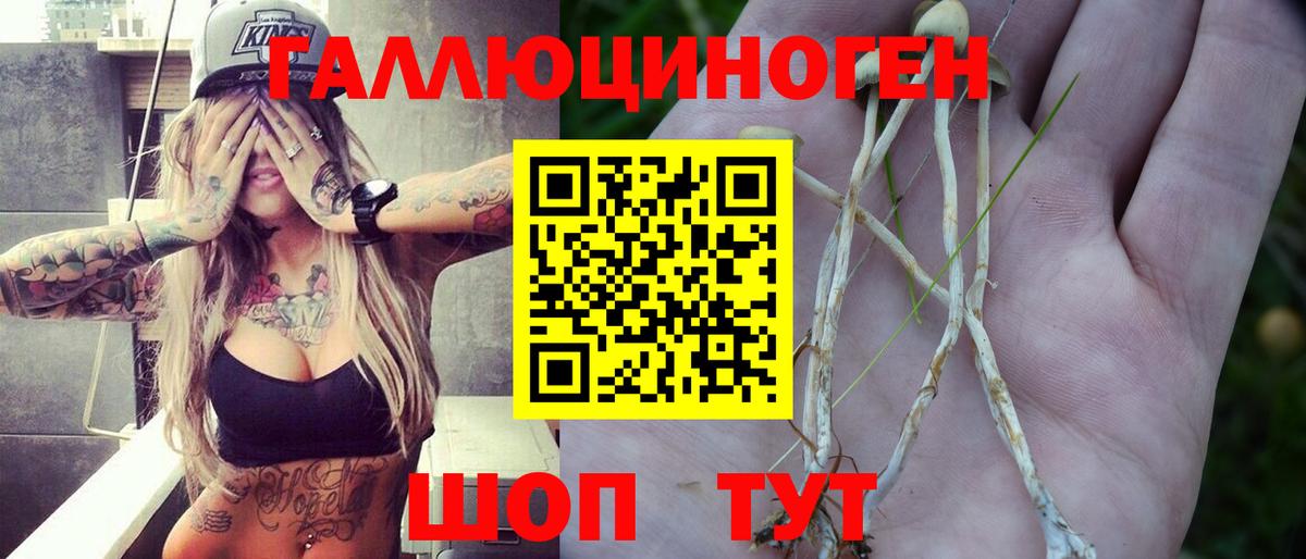 Можга  Псилоцибиновые грибы ЛСД  Вход с VPN 